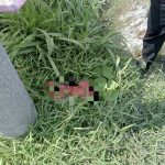 IMG_20260528_183015